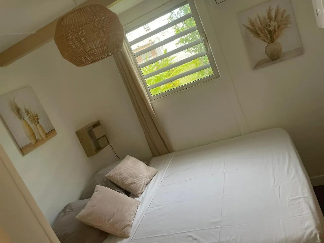 Au Coeur Du Papillon Piscine Collective Villa Goyave Guadeloupe