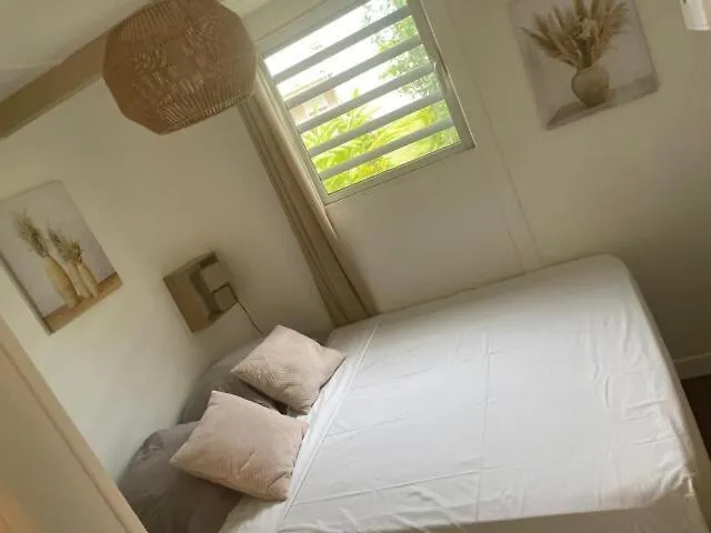 Au Coeur Du Papillon Piscine Collective Villa Goyave Holiday home