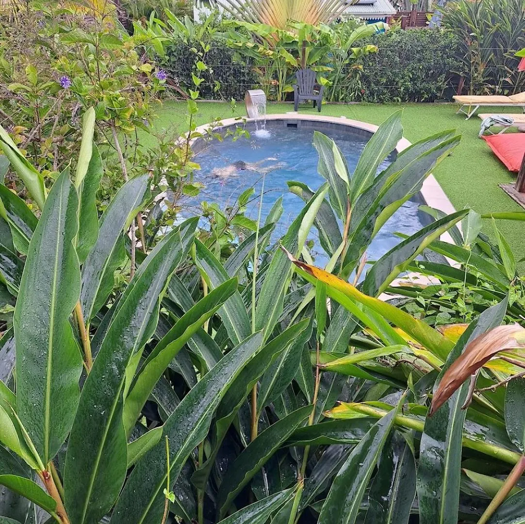 Holiday home Au Coeur Du Papillon Piscine Collective Villa Goyave Guadeloupe
